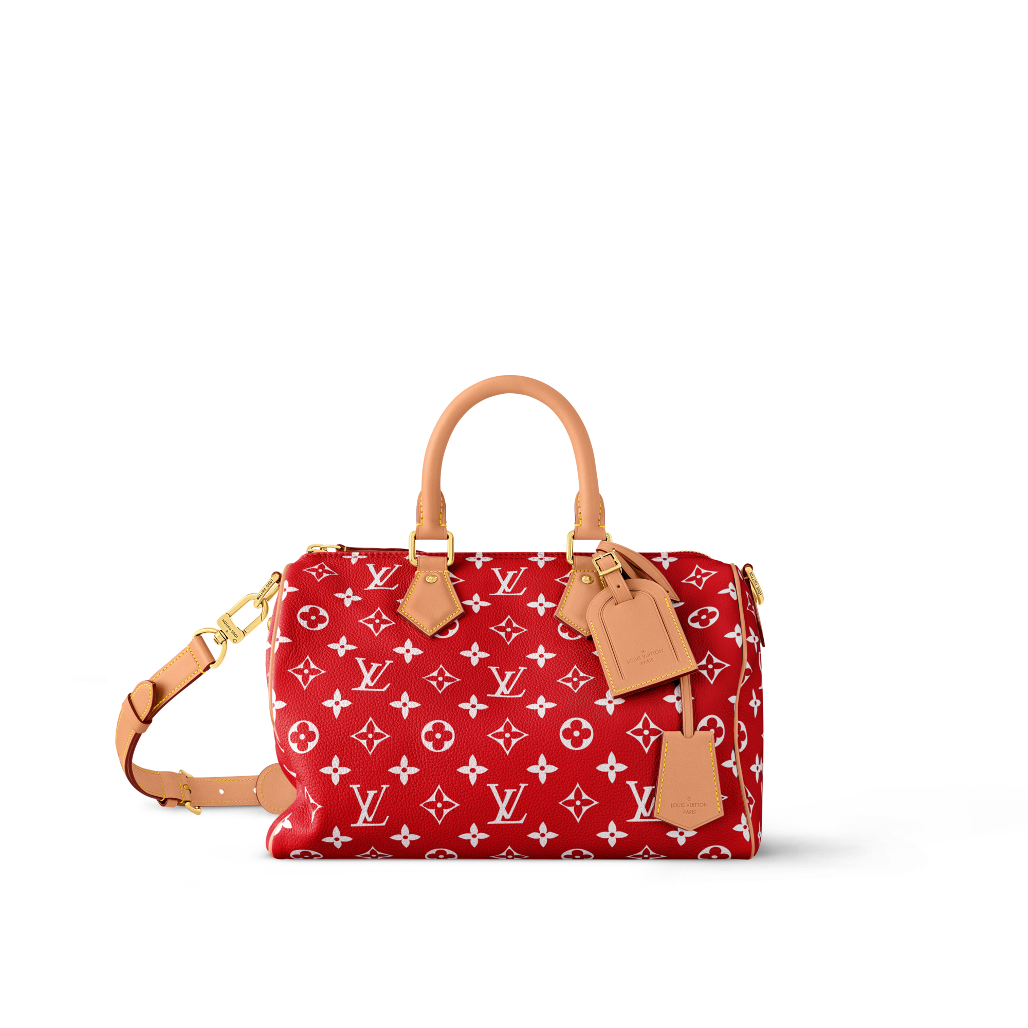 Speedy P9 Bandoulière 30 H40 - Les Extraordinaires - Leather Goods